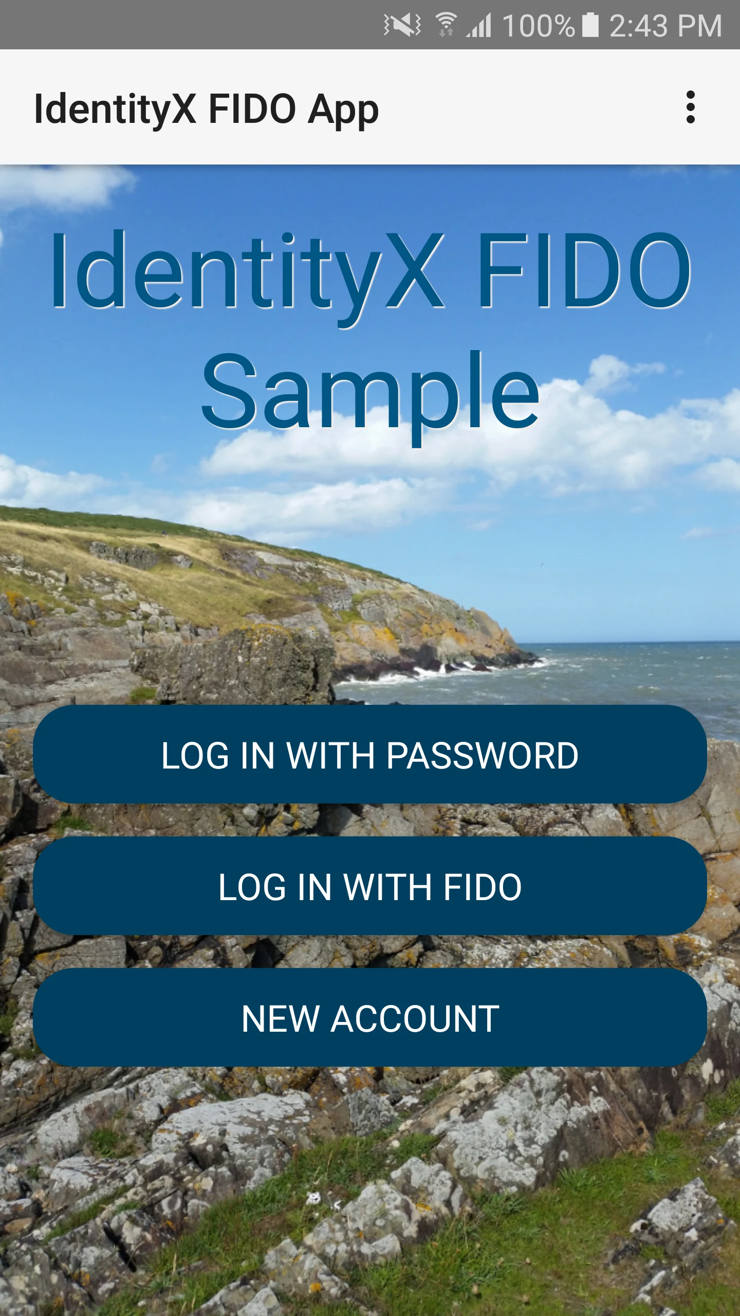 FIDO Sample App screenshot